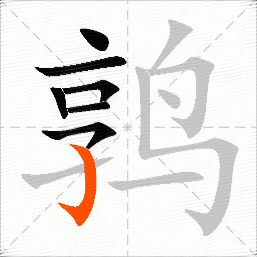 鹑