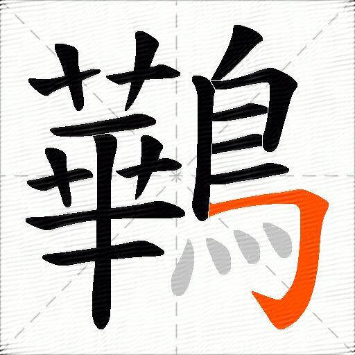 鷨
