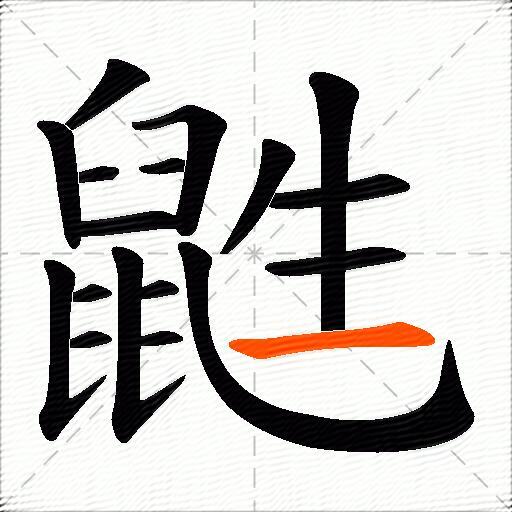 鼪