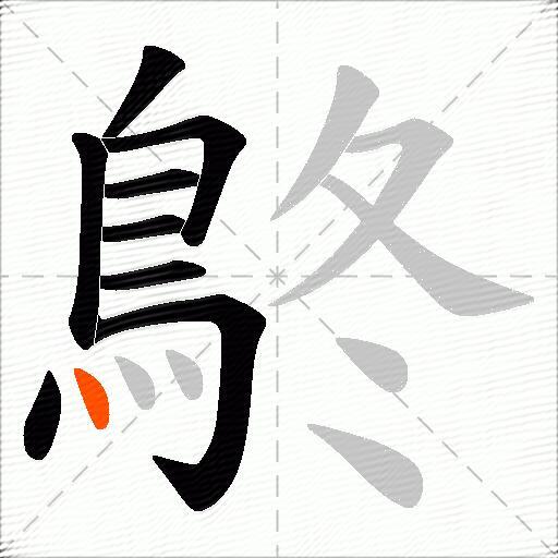 鴤