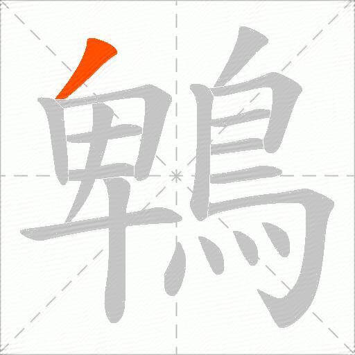 鵯