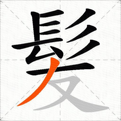 髪
