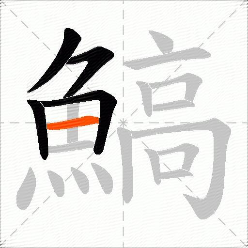 鰝
