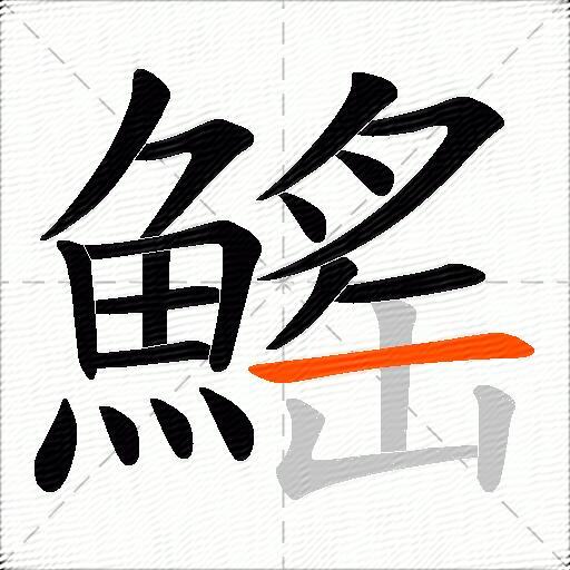 鰩
