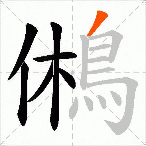 鵂