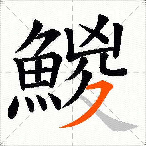 鯼