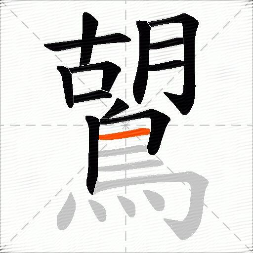 鶦