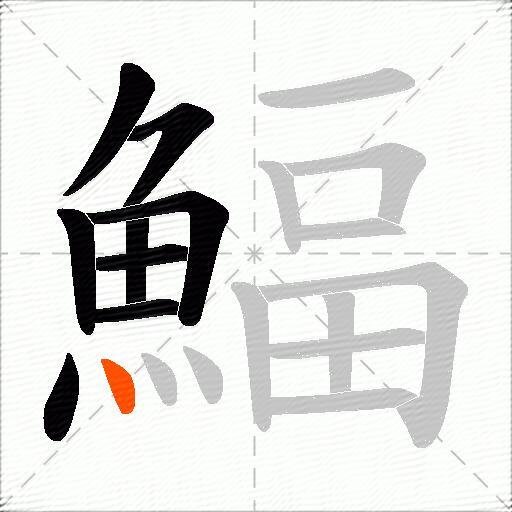 鰏