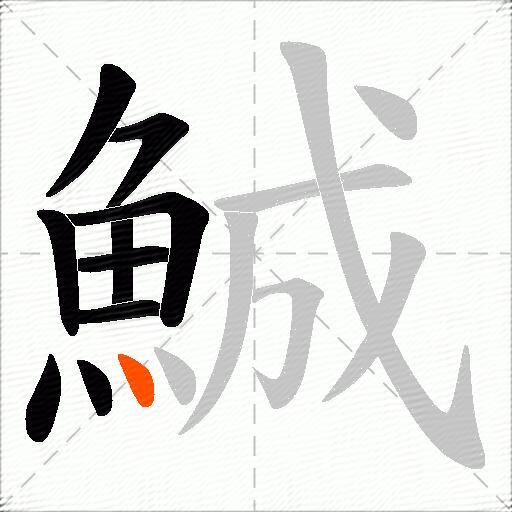 鯎
