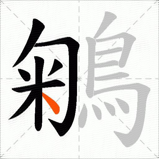 鵴