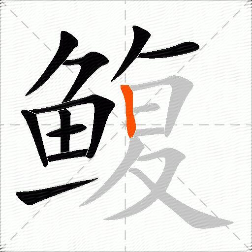 鳆