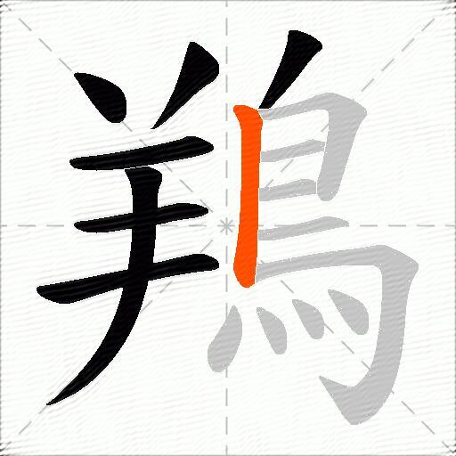 鴹