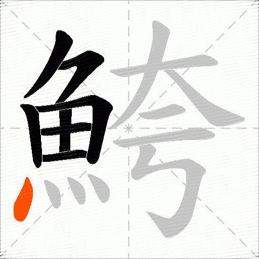 鮬