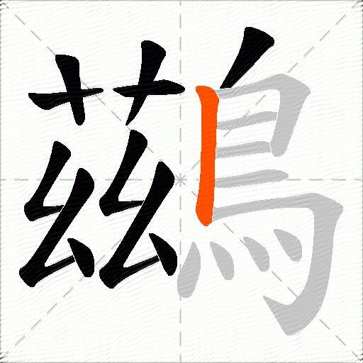 鷀