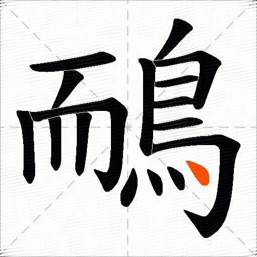 鴯