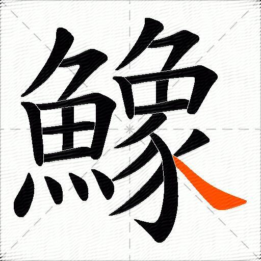 鱌
