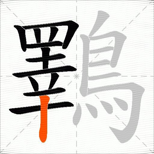 鸅