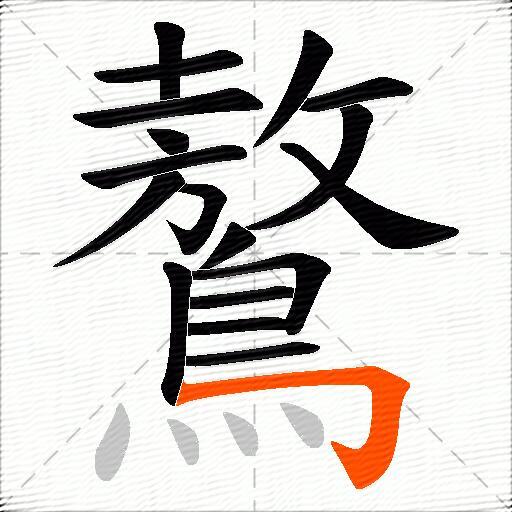 鷔