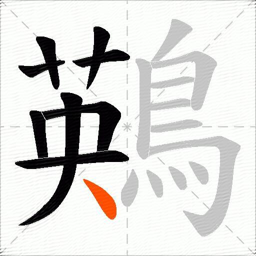鶧