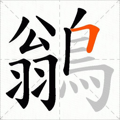 鶲