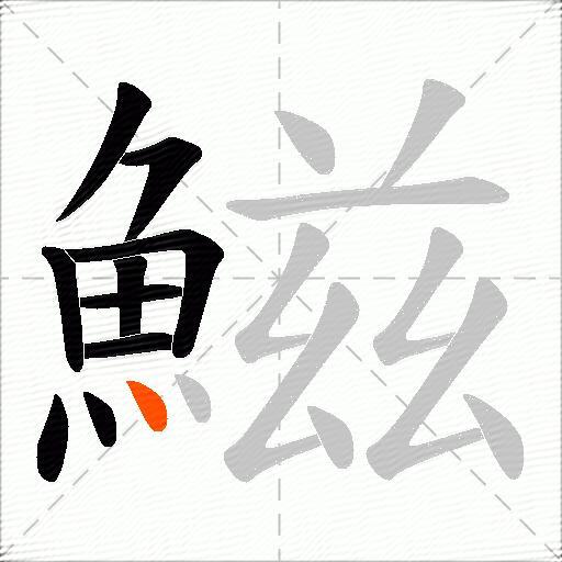 鰦