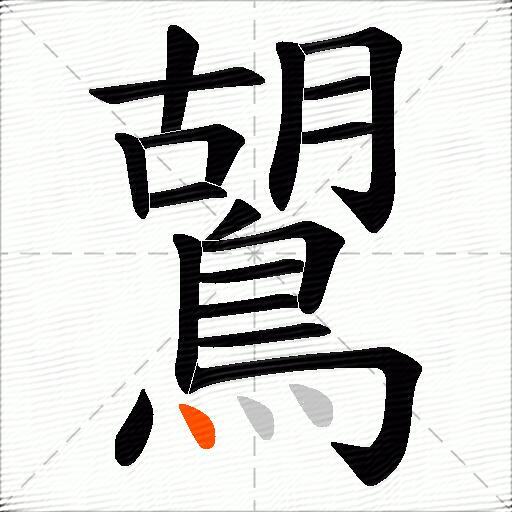鶦