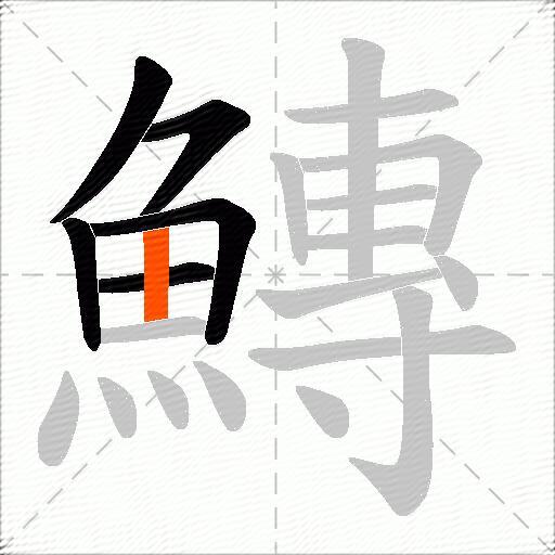 鱄
