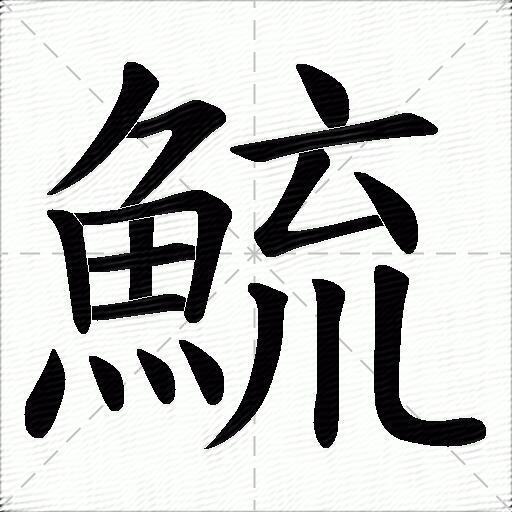 鯍