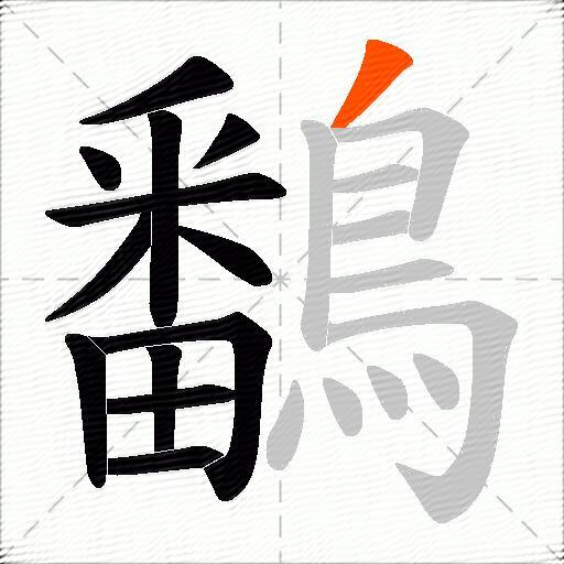 鷭