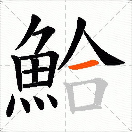 鮯