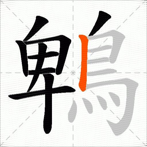 鵯