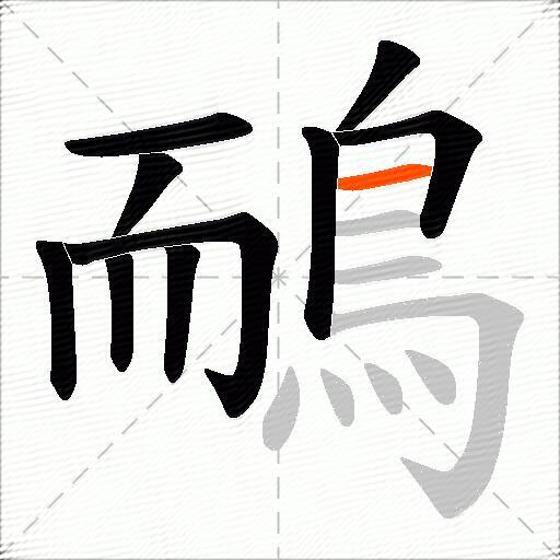 鴯