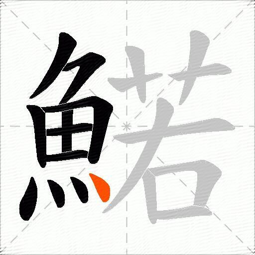 鰙