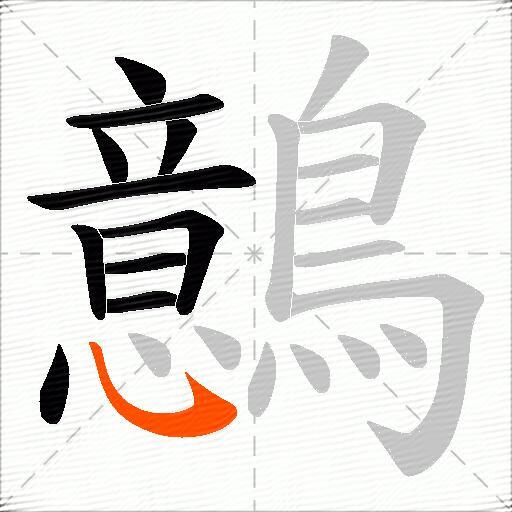 鷾