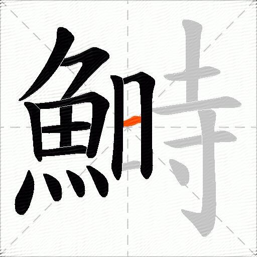 鰣