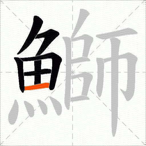 鰤