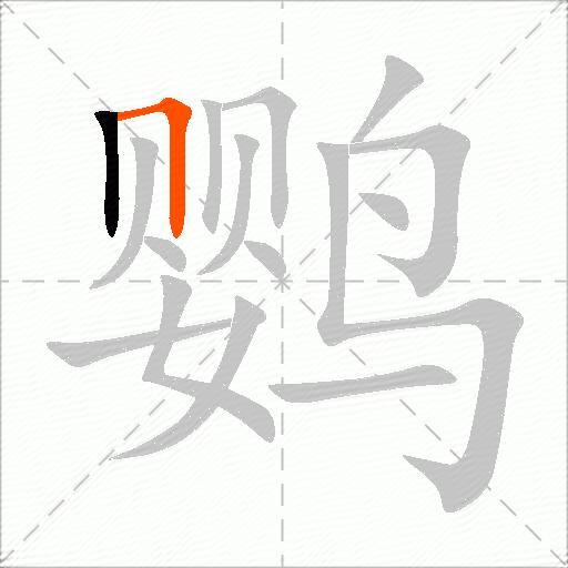 鹦