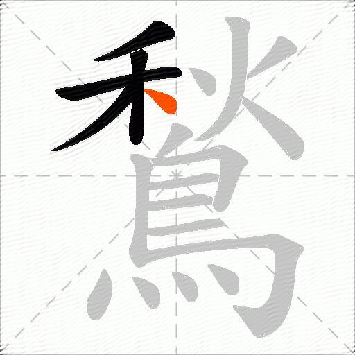 鶖