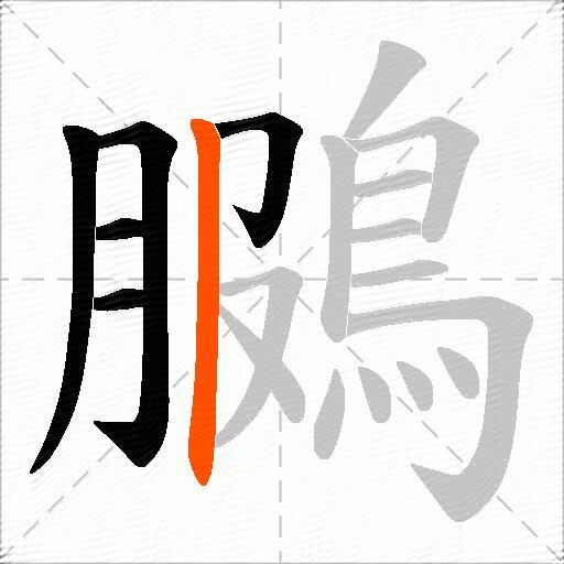 鵩