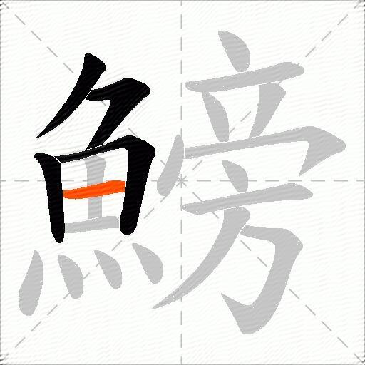 鰟