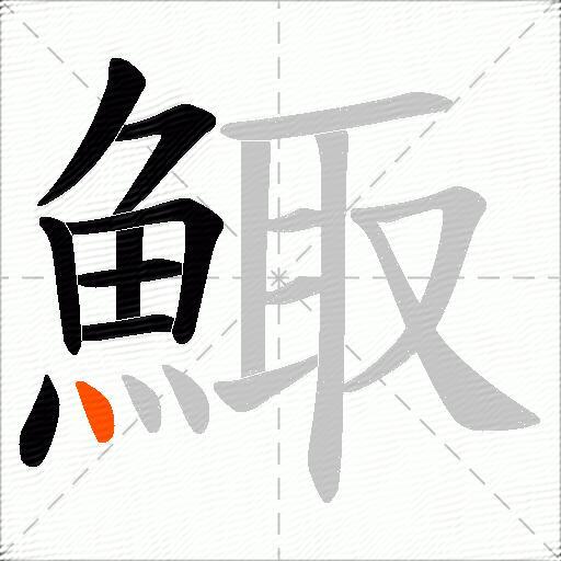 鯫