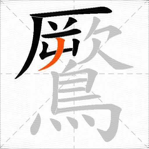 鷢