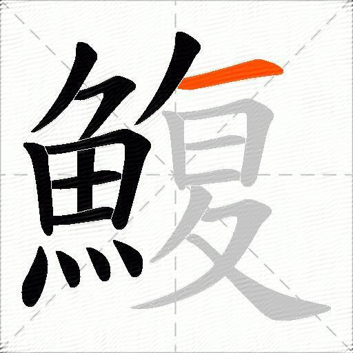 鰒