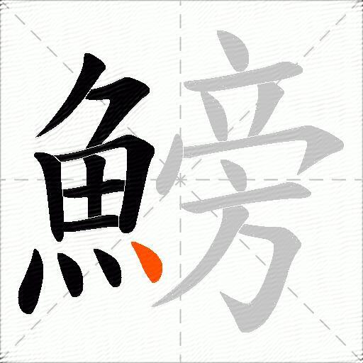 鰟
