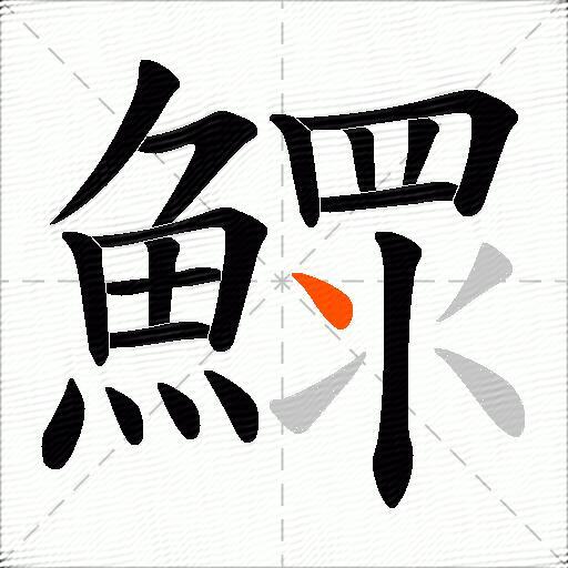 鰥