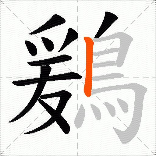 鶢