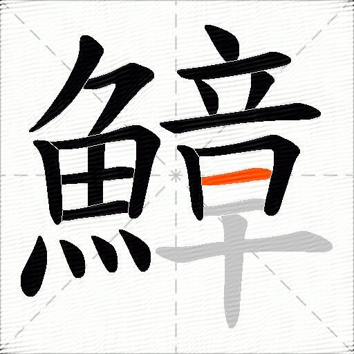 鱆