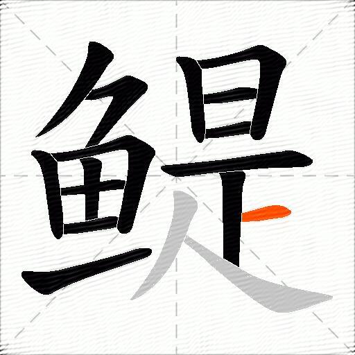 鳀