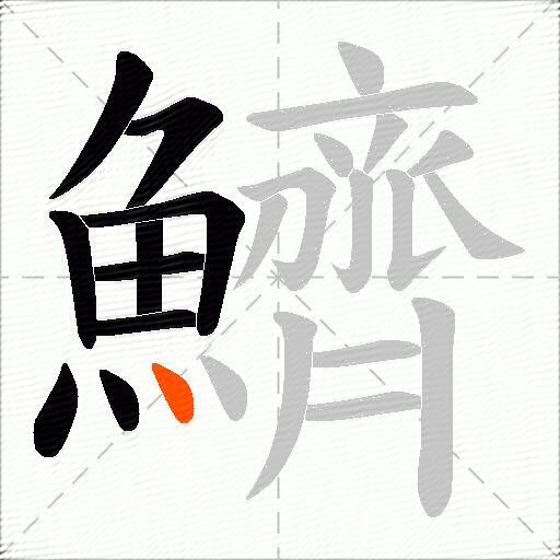 鱭