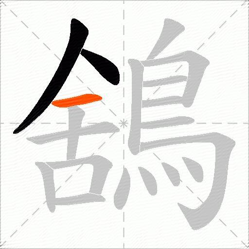鵨